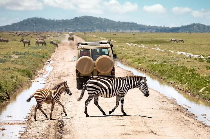 Manda Adventures Tanzania safari experience