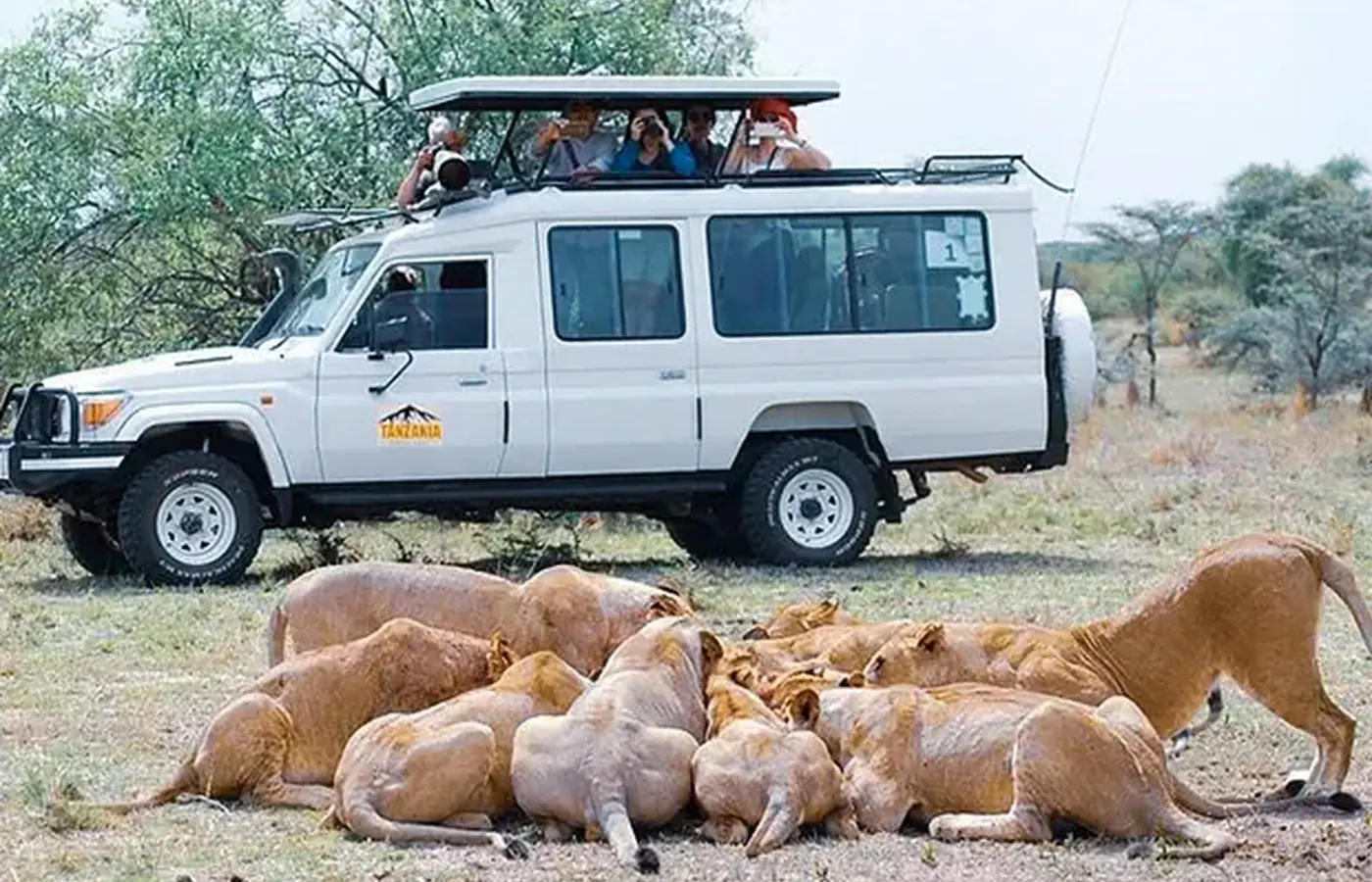 8-Day Classic Honeymoon Southern Tanzania Ruaha and Nyerere Safari From Zanzibar image 1