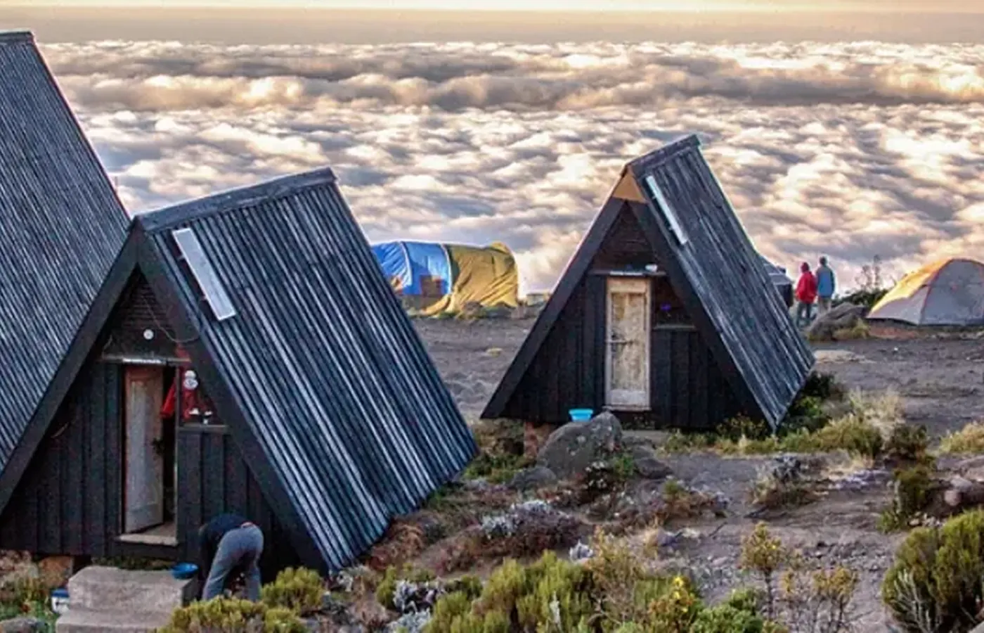 5-Day Classic Great Migration Kilimanjaro Marangu Route Climb From Arusha image 1