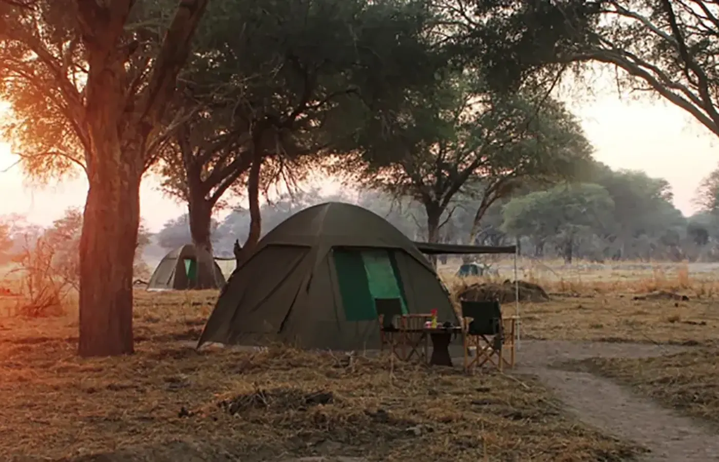 6-Day Private Midrange Lodge Southern Tanzania Ruaha and Nyerere Safari From Entebbe image 1