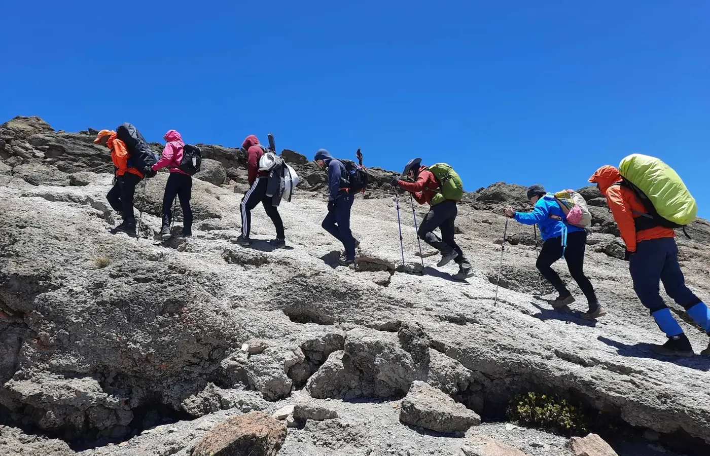 7-Day Discover Great Migration Kilimanjaro Lemosho Route Climb From Arusha image 1