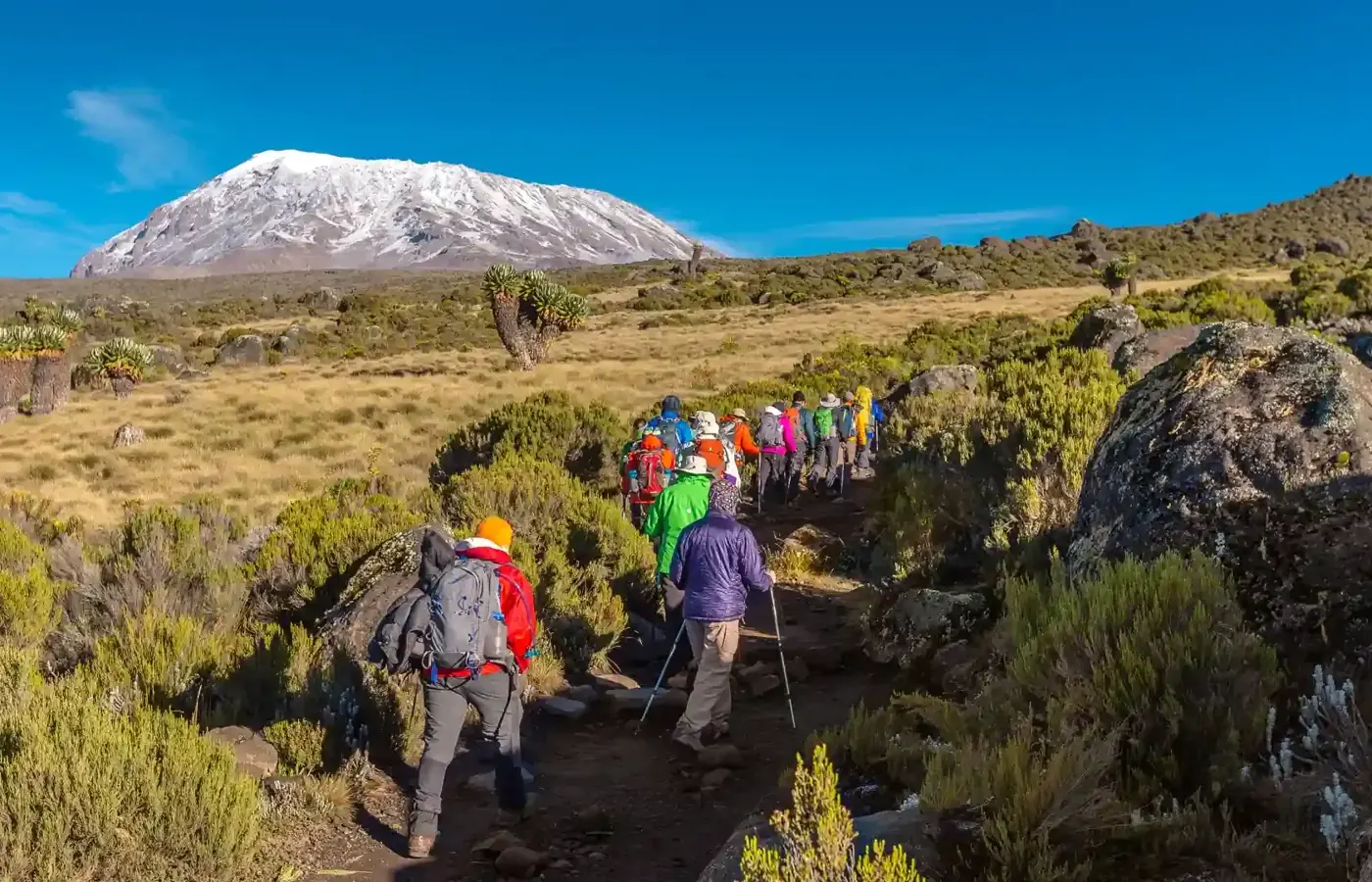 6-Day Premier Budget Friendly Kilimanjaro Rongai Route Climb From Moshi image 1
