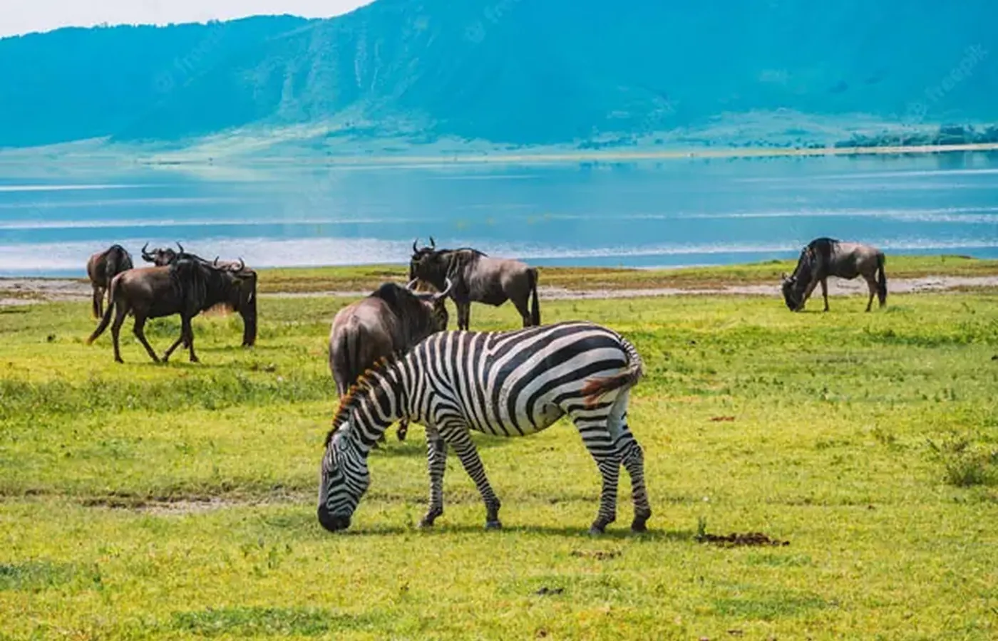 1-Day Great Midrange Lodge Best Day Trips from Moshi and Arusha From Mombasa image 1