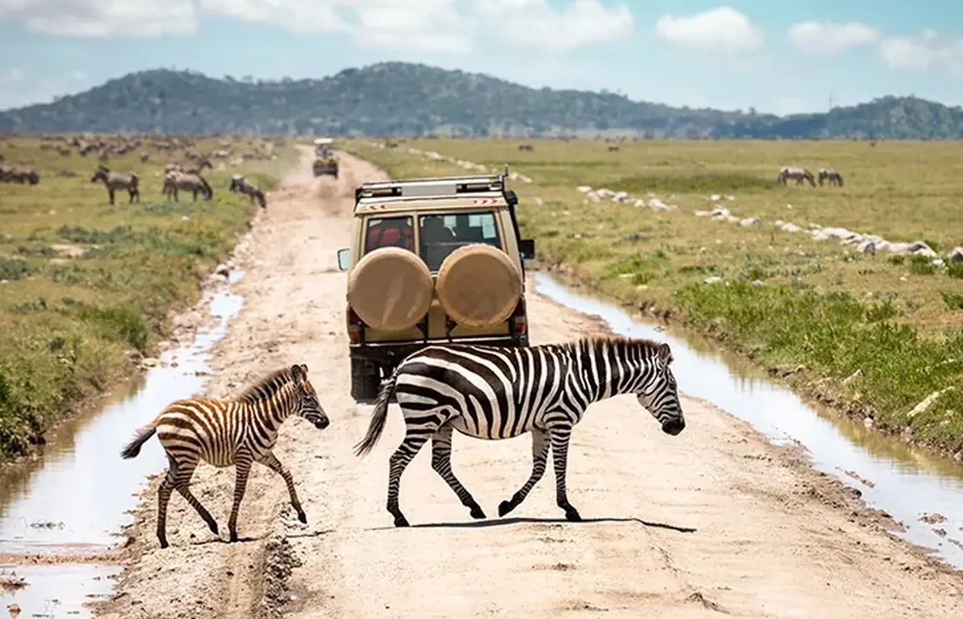 6-Day Best Group Joining Rwanda Gorilla Trekking and Akagera Safari with Flexible Start image 1