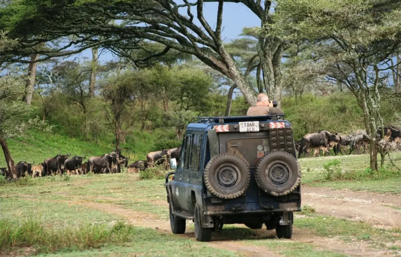 7-Day Tailor Made Midrange Lodge Rwanda Uganda Gorilla and Wildlife Journey From Kigali image 1
