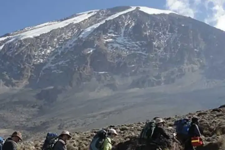 6-Day Affordable Great Migration Kilimanjaro Umbwe Route Climb From Kigali