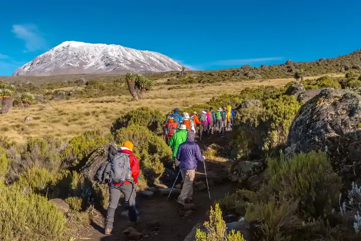 10-Day Complete Midrange Lodge Kilimanjaro Safari and Zanzibar Grand Combo From Nairobi