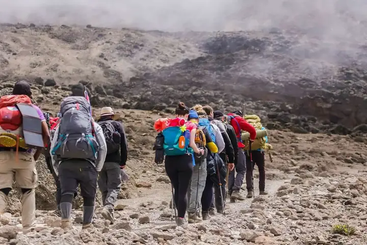5-Day Signature Group Joining Serengeti Wildebeest Migration Safari From Kilimanjaro International Airport