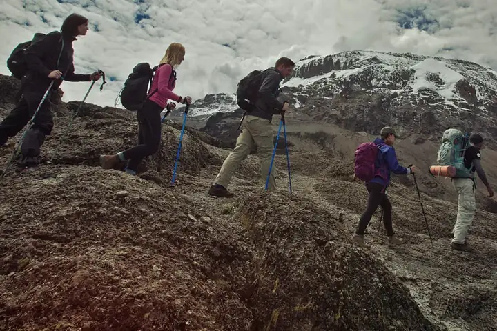 7 Days Lemosho Route Kilimanjaro Climb